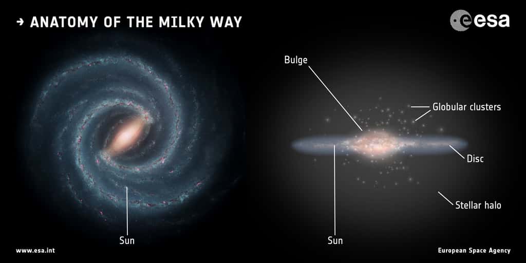 Une vue de la Voie lactée et de sa structure. On peut distinguer le bulbe galactique, au centre, le disque, et le halo stellaire. © ESA, Nasa, JPL-Caltech