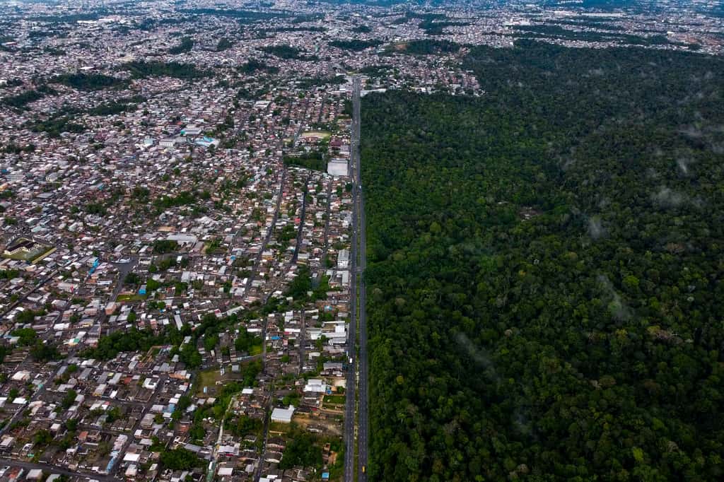 Vue aérienne de la réserve <em>Adolpho Ducke Forest</em>, dans la forêt amazonienne, côte à côte avec des maisons du quartier Cidade de Deus. © Michael Dantas, AFP