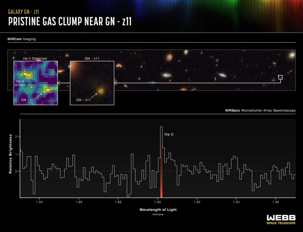 Ce graphique en deux parties montre la présence d'un amas gazeux d'hélium dans le halo entourant la galaxie GN-z11. Dans la partie supérieure, à l'extrême droite, une petite case identifie GN-z11 dans un champ de galaxies. La case du milieu montre une image agrandie de la galaxie. L'encadré, à l'extrême gauche, affiche une carte de l'hélium gazeux dans le halo du GN-z11, y compris un amas qui n'apparaît pas dans les couleurs infrarouges indiquées dans le panneau du milieu. Dans la moitié inférieure du graphique, un spectre montre « l’empreinte digitale » distincte de l’hélium dans le halo. Le spectre complet ne montre aucune trace d'autres éléments et suggère donc que l'amas d'hélium doit être assez intact, constitué d'hydrogène et d'hélium gazeux laissés par le big bang, sans grande contamination par des éléments plus lourds produits par les étoiles. © Nasa, ESA, ASC, Ralf Crawford (STScI)