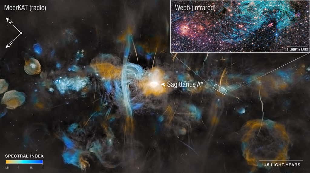 La région de formation d'étoiles Sagittarius C, capturée par le télescope spatial James-Webb, se trouve à environ 200 années-lumière du trou noir supermassif central de la Voie lactée, Sagittarius A*. L'indice spectral en bas à gauche montre comment la couleur a été attribuée aux données radio de MeerKAT pour créer l'image. Du côté négatif, on observe une émission non thermique, stimulée par les électrons en spirale autour des lignes de champ magnétique. Du côté positif, l'émission thermique provient du plasma chaud et ionisé. Pour Webb, la couleur est attribuée en décalant le spectre infrarouge vers les couleurs de la lumière visible. Les longueurs d'onde infrarouges les plus courtes sont plus bleues, et les longueurs d'onde plus longues apparaissent plus rouges. © Nasa, ESA, CSA, STScI, SARAO, Samuel Crowe (UVA), John Bally (CU), Ruben Fedriani (IAA-CSIC), Ian Heywood (Oxford) La région de formation d'étoiles Sagittarius C, capturée par le télescope spatial James-Webb, se trouve à environ 200 années-lumière du trou noir supermassif central de la Voie lactée, Sagittarius A*. L'indice spectral en bas à gauche montre comment la couleur a été attribuée aux données radio de MeerKAT pour créer l'image. Du côté négatif, on observe une émission non thermique, stimulée par les électrons en spirale autour des lignes de champ magnétique. Du côté positif, l'émission thermique provient du plasma chaud et ionisé. Pour Webb, la couleur est attribuée en décalant le spectre infrarouge vers les couleurs de la lumière visible. Les longueurs d'onde infrarouges les plus courtes sont plus bleues, et les longueurs d'onde plus longues apparaissent plus rouges. © Nasa, ESA, CSA, STScI, SARAO, Samuel Crowe (UVA), John Bally (CU), Ruben Fedriani (IAA-CSIC), Ian Heywood (Oxford)