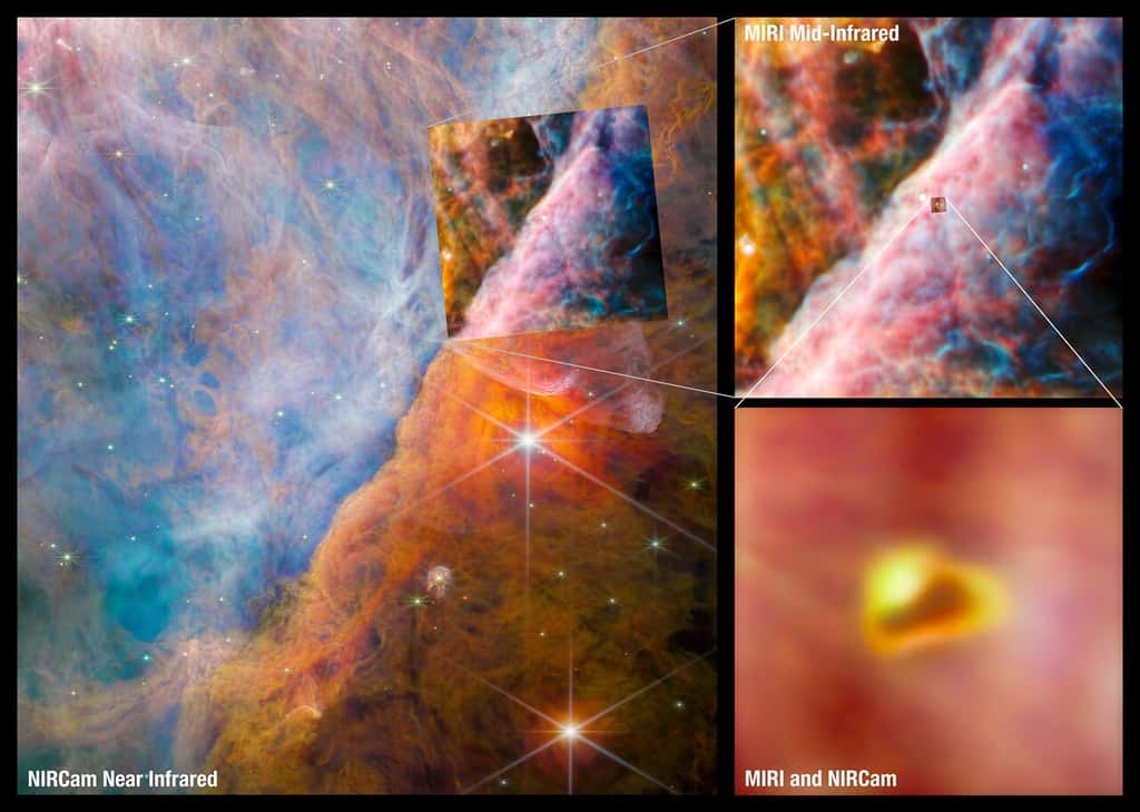 Ces images montrent en fausses couleurs la zone, au centre de la nébuleuse d'Orion, qui a été étudiée dans l’infrarouge avec le JWST. La plus grande image, à gauche, provient de l'instrument NIRCam de Webb. Sur la droite, le télescope se concentre sur une zone plus petite, où l'équipe a utilisé l'instrument Miri de Webb pour approfondir son étude. La région capturée ici avec des détails époustouflants par Webb est connue sous le nom de barre d'Orion. Il s'agit d'un front d'ionisation, où la lumière ultraviolette de l'amas du trapèze – situé dans le coin supérieur gauche – interagit avec des nuages moléculaires denses. L'énergie du rayonnement stellaire érode lentement la barre d'Orion, ce qui a un effet sur les molécules et la chimie des disques protoplanétaires qui se sont formés autour des étoiles naissantes. Au centre même de la zone Miri, se trouve un disque protoplanétaire nommé d203-506. En bas à droite, s’affiche une image combinée NIRCam et Miri de ce jeune système. Sa forme allongée est due à la pression des rayons ultraviolets agressifs qui la frappent. © ESA/Webb, Nasa, CSA, M. Zamani (ESA/Webb), the PDRs4All ERS Team