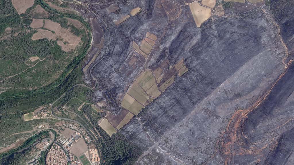 Cette image est intéressante. Elle montre comment des cultures bien gérées peuvent limiter la propagation d'incendies, voire le stopper. © Planet Labs PBC