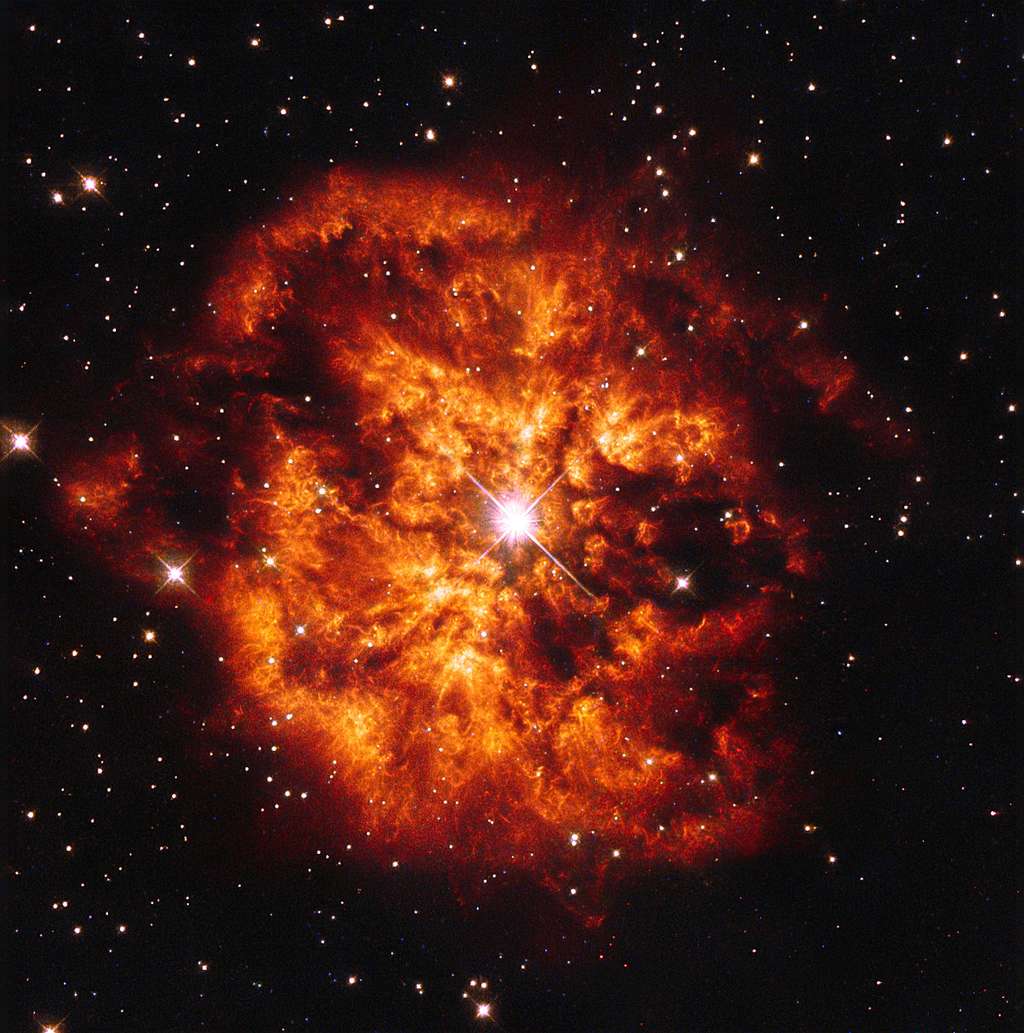 La nébuleuse M1-67 autour de l'étoile Hen 2-427, plus communément appelée WR 124 car c'est une étoile de Wolf-Rayet, vue par le télescope Hubble dans la constellation du Sagittaire. Elle n'aurait pas plus de 10.000 ans et serait située à 15.000 années-lumière du Soleil. © Esa, Judy Schmidt