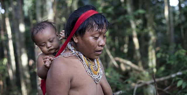 Les Yanomami n'ont jamais utilisé d'antibiotiques. Pourtant, les membres de cette tribu présentent tout de même des gènes de résistance. © Sam valadi, Flickr, CC by 2.0