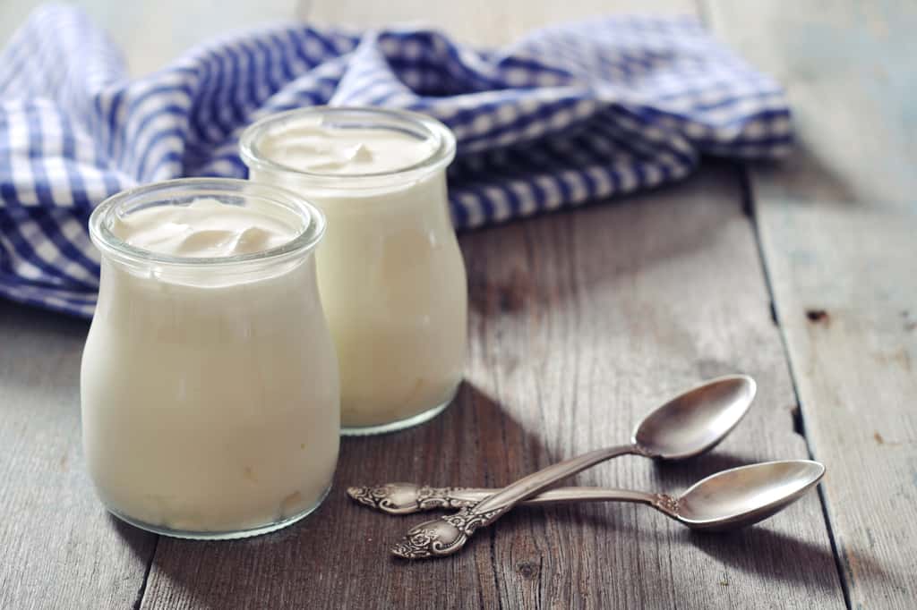 Les yaourts sont d'excellents aliments fermentés. © tashka2000, Adobe Stock