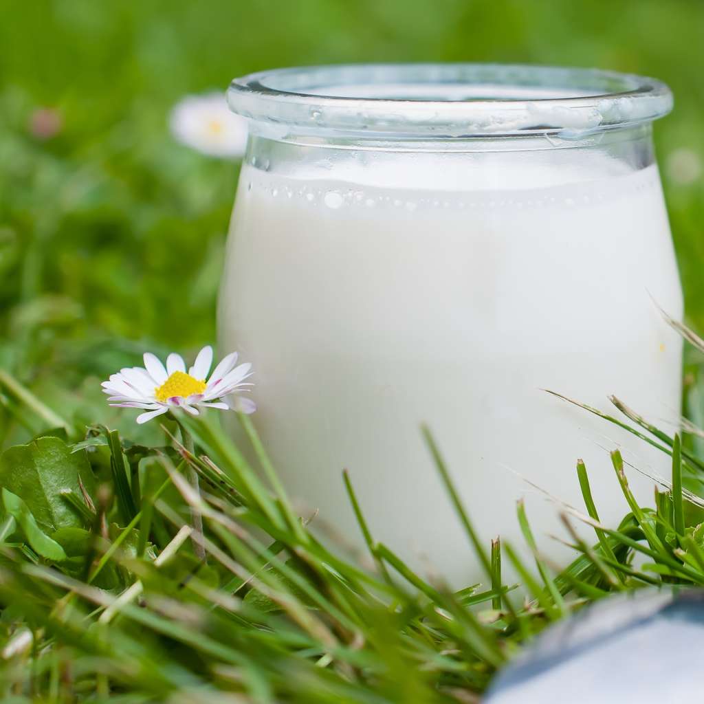 Les yaourts peuvent contenir des bactéries probiotiques, censées agir sur notre flore intestinale. Alors pourquoi pas des crèmes probiotiques pour équilibrer les bactéries de la peau ? © ursule, Fotolia