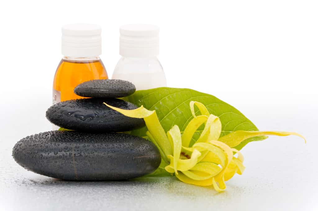 Il faut environ 100 kg de fleurs d'ylang-ylang pour faire 2 kg d'huile essentielle. © Frog 974, Fotolia