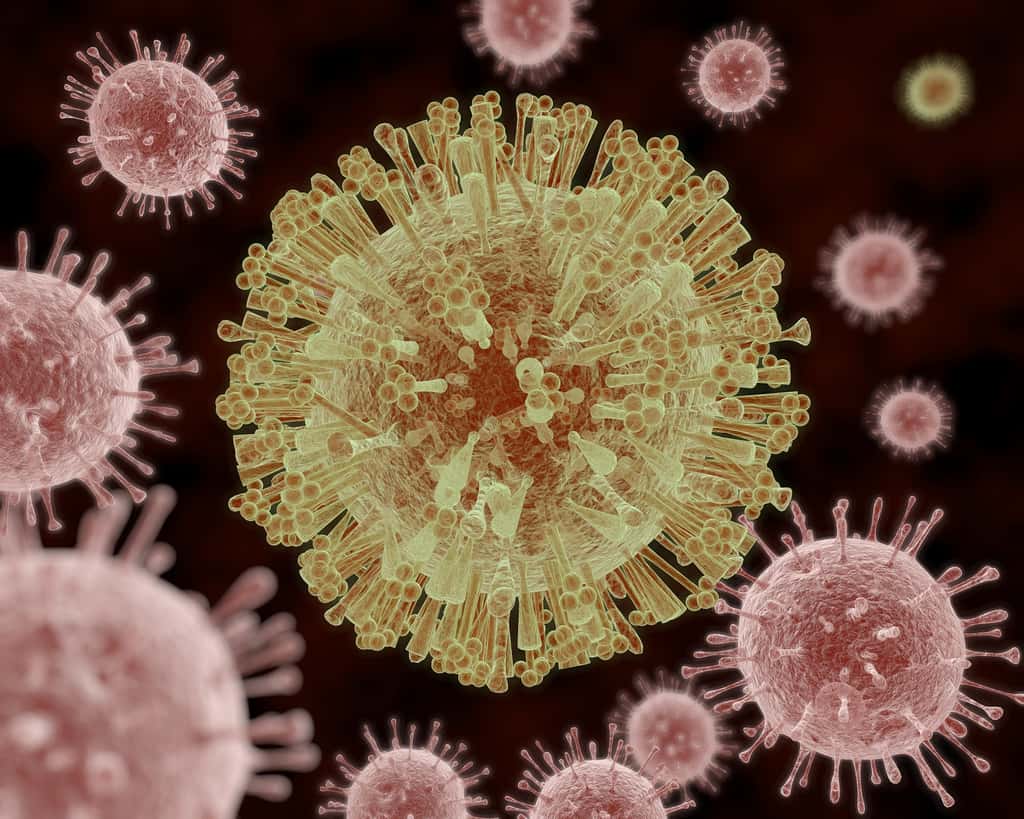Le virus Zika est un flavivirus, un virus à ARN simple brin. © AuntSpray, Shutterstock