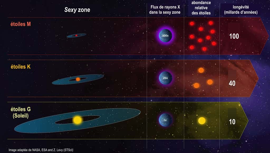 Cette infographie compare les caractéristiques de trois classes d'étoiles dans notre Galaxie : les étoiles semblables au soleil sont classées comme étoiles G ou naines jaunes ; les étoiles moins massives et plus froides que notre Soleil sont des naines K ou naines orange ; et des étoiles plus faibles et plus froides sont les naines M rouges. Le graphique compare les étoiles en fonction de plusieurs variables importantes. La longévité des étoiles M naines rouges peut dépasser 100 milliards d'années. Celle des naines orange peut aller de 15 à 45 milliards d'années. Celle de notre Soleil est d’environ 10 milliards d'années. Le flux de rayonnement stellaire capable de chauffer et d'éroder la haute atmosphère peut être 80 à 500 fois plus intense dans la zone habitable des naines M que dans celle du Soleil. Mais seulement 5 à 25 fois plus intense dans celle des naines K. © Nasa, ESA and Z. Levy (STScI), Franck Selsis