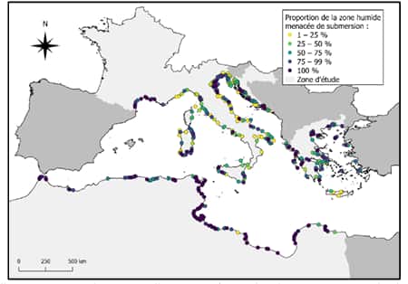  Les zones humides de Méditerranée menacées par la submersion d'ici 2100 : les côtes de France sont concernées par un risque de submersion compris entre 75 et 100 % ! © Fabien Verniest 