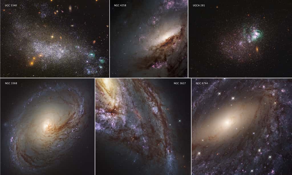 Des chercheurs ont entraîné une intelligence artificielle à classer les galaxies suivant leur stade d’évolution. Cela peut les aider à mieux comprendre l’histoire et la vie des galaxies. ©️ Nasa, ESA, <em>Legus Team</em>