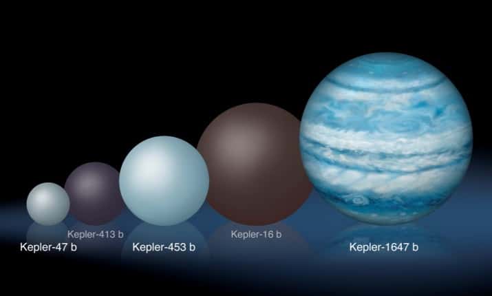 Comparaison de Kepler-1647b avec d’autres exoplanètes circumbinaires connues. Au minimum aussi grande que notre Jupiter, la planète est à ce jour la plus grosse et la plus massive découverte en orbite autour de deux étoiles. © Lynette Cook
