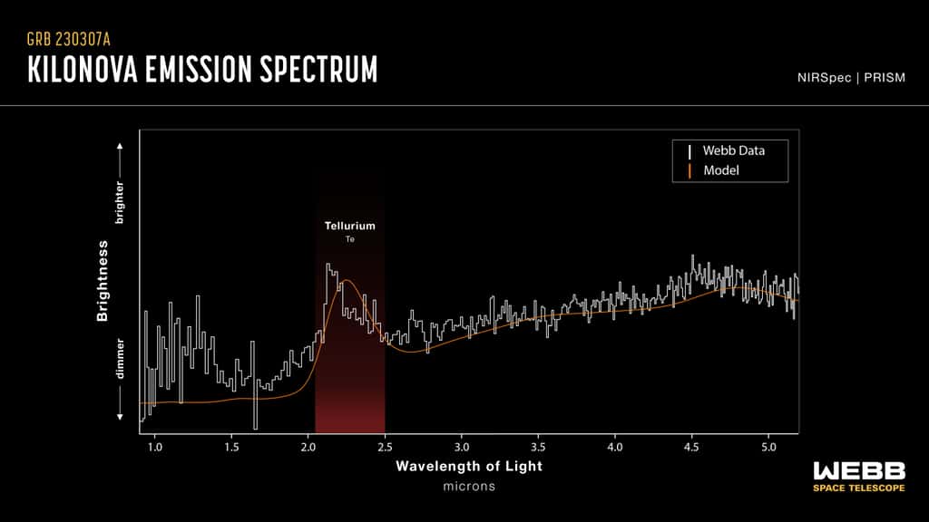 Ce graphique compare les données spectrales de la kilonova de GRB 230307A observée par le télescope spatial James-Webb de la Nasa et un modèle théorique des données spectrales d'une kilonova. Les deux montrent un pic distinct dans la région du spectre associée au tellure, la zone étant ombrée en rouge. La détection du tellure, qui est plus rare que le platine sur Terre, marque le premier regard direct de Webb sur un élément plus lourd que le fer dans une kilonova. © Nasa, ESA, CSA, Joseph Olmsted (STScI)