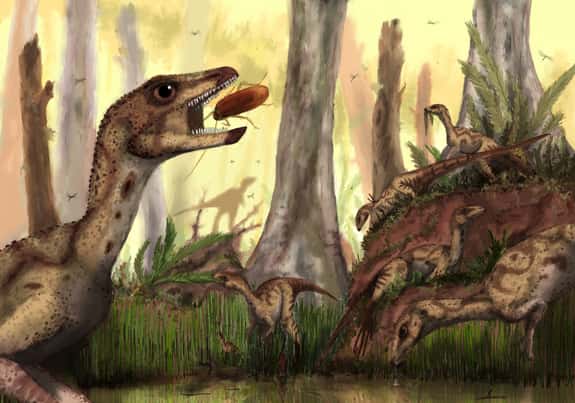 <em>Laquintasaura venezuelae</em> devait pouvoir se nourrir d'insectes et peut-être aussi de petites proies bien que son régime alimentaire était probablement herbivore. © Mark Witton