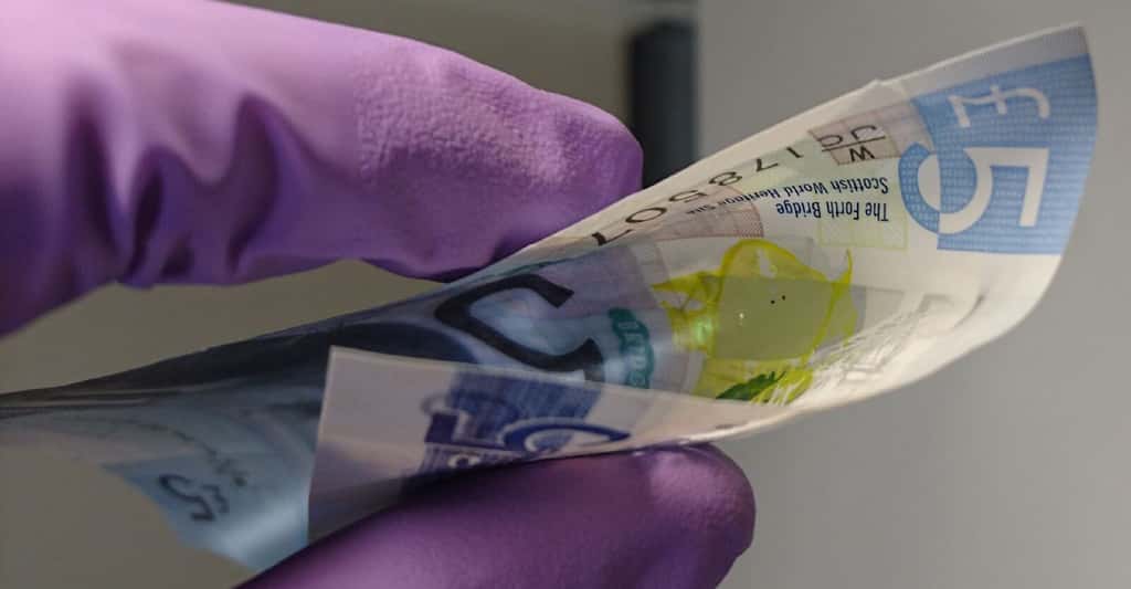 Les lasers miniatures et flexibles mis au point par l’équipe de l’université de Saint Andrews peuvent aussi être déposés sur des billets de banque. © Malte Gather, université de Saint Andrews