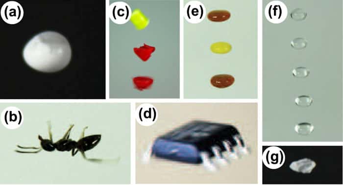 Quelques exemples d’objets que les chercheurs de l’université de Bristol sont parvenus à faire léviter : 40 μL d’une solution d’isopropanol et de dioxyde d’étain (a), une fourmi (b), un fragment d’acide polylactique de 2 mm de large (c), un transistor à effet de champ (d), du ketchup et de la moutarde (e), de l’eau (f) et du sucre (g). © Asier Marzo, université de Bristol