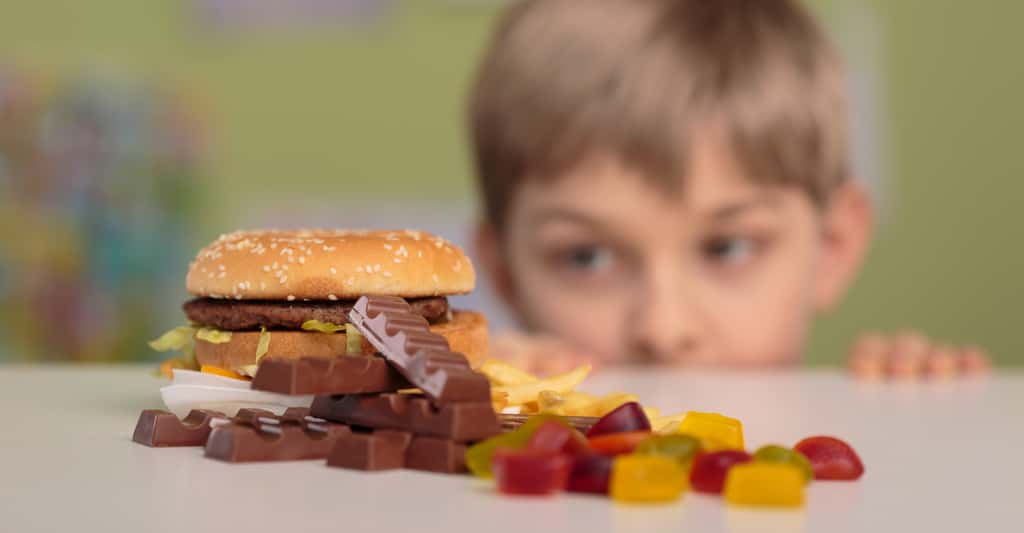 Manger trop sucré peut avoir des conséquences sur le développement du cortex préfrontal des enfants. © Photographee.eu, Shutterstock