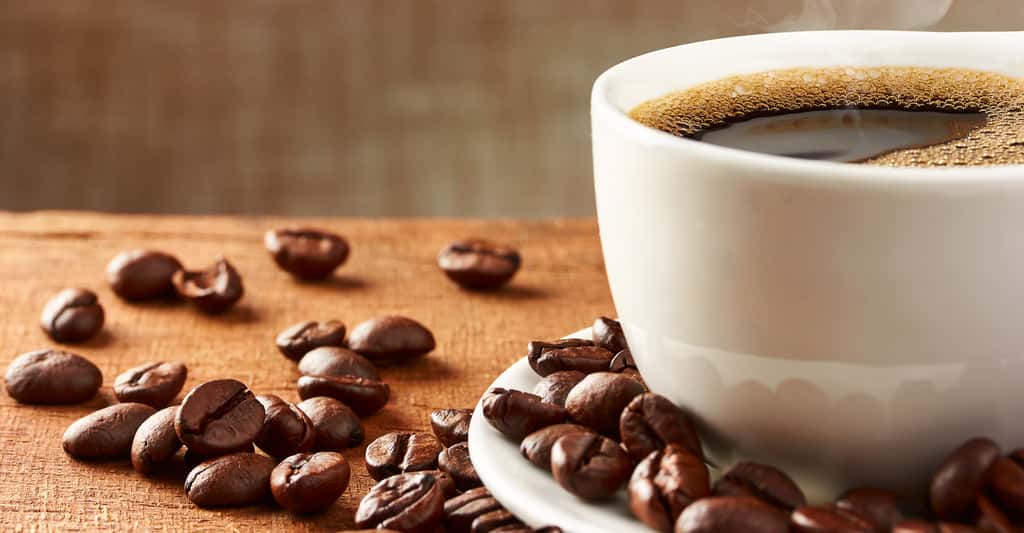 La caféine est un stimulant du système nerveux central. © portement, Shutterstock 