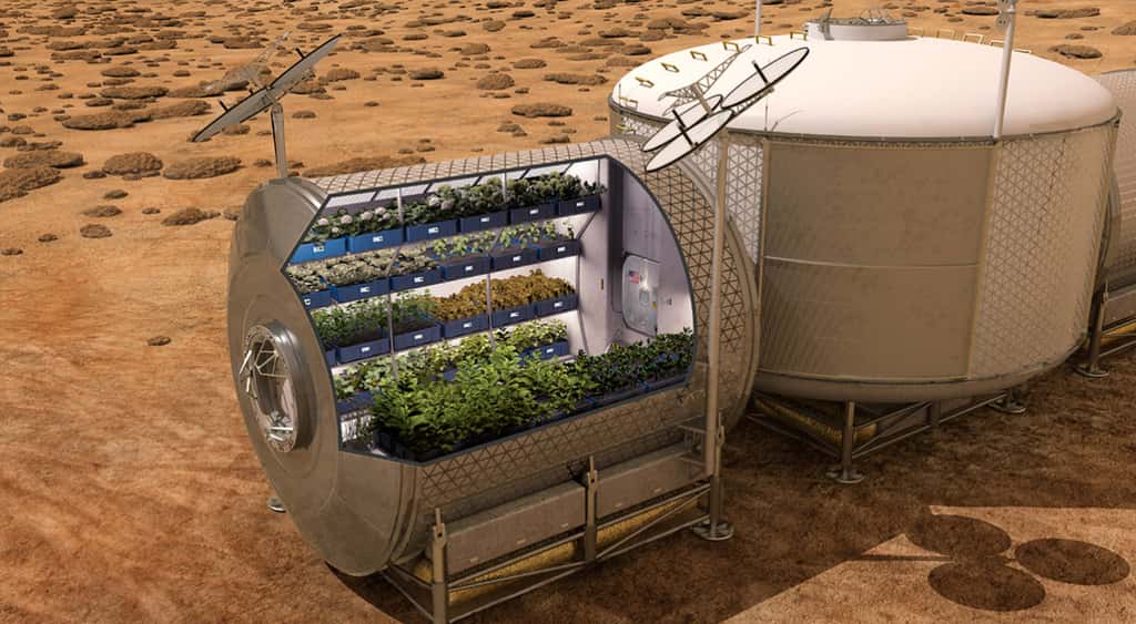 La Nasa envisage très sérieusement de cultiver sur Mars, des produits frais. © Nasa