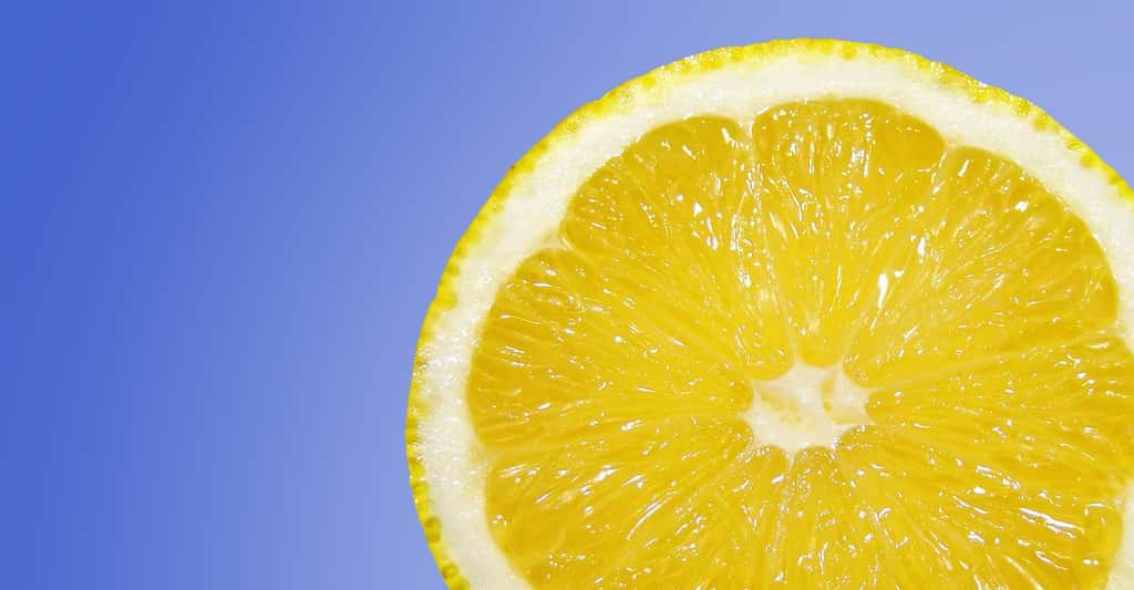 Pour éviter que les mauvaises odeurs n’apparaissent, vous pouvez placer un demi-citron sur votre évacuation. © Jaro_N, Pixabay, CC0 Creative Commons