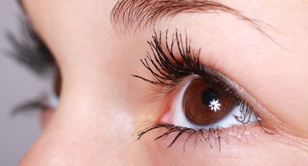 Une dilatation de la pupille peut être le signe d'un mensonge. © PublicDomainPictures, Pixabay, DP