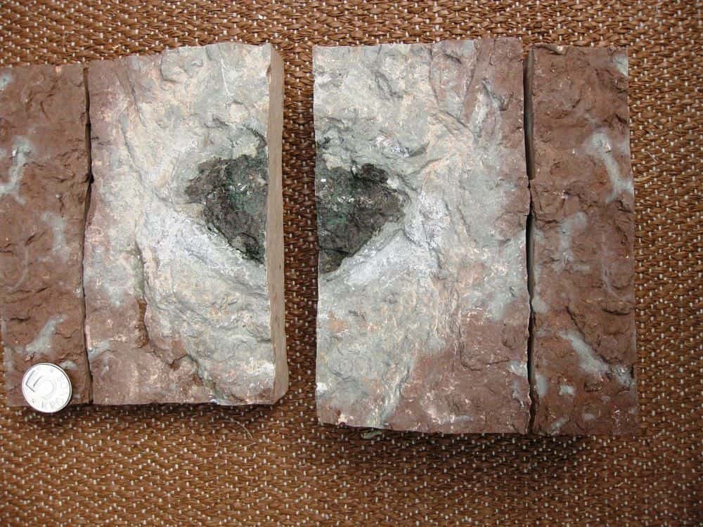 La météorite Österplana 065 (8 × 6,5 × 2 cm) est entourée d’un halo gris dans du calcaire autrement rouge, donc oxydé. On pense que l’oxygène a été consommé par l’altération de la météorite, alors au fond de la mer de l’Ordovicien où se déposaient les sédiments. La pièce de monnaie a un diamètre de 2,5 cm. © Birger Schmitz