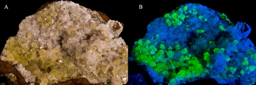 Deux espèces minérales naturellement fluorescentes : l’adamite fluorescence verte (à gauche) et l’hémimorphite fluorescence bleu pâle (à droite). © Didier Descouens, Wikipédia, CC by-sa 3.0