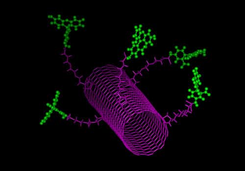 Modèle moléculaire d'un nanotube de carbone fonctionnalisé avec des molécules fluorescentes (vertes) capable de pénétrer dans les cellules. © A. Bianco, CNRS, laboratoire immunologie et chimie thérapeutiques (Strasbourg)