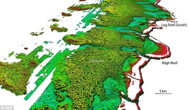Données Lidar de la <em>Royal Australian Navy</em> qui ont permis à une équipe de chercheurs australiens de mettre en évidence ce grand récif corallien composé d’une multitude de biohermes. © <em>Australia Hydrographic Service</em>, JCU
