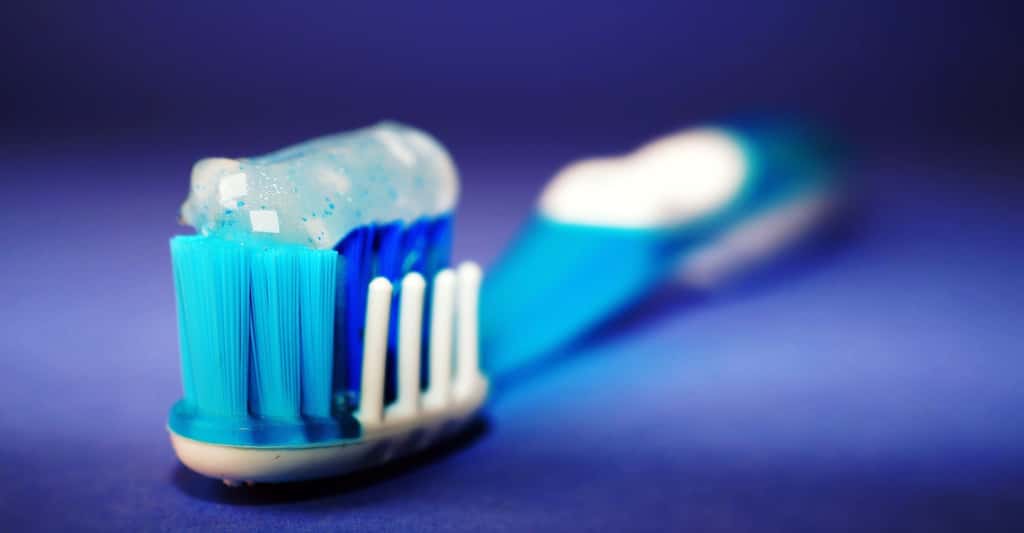 Les poils des brosses à dents ont constitué la première application industrielle du nylon. © StockSnap, Pixabay, CC0