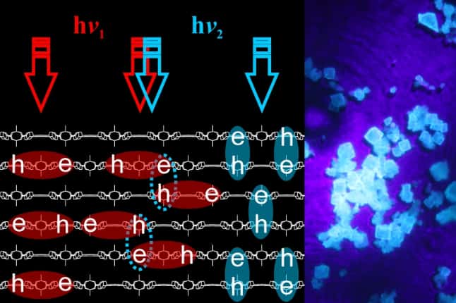 Sur la partie gauche de l’image, on observe qu’en fonction des longueurs d’onde (hν<sub>1</sub> et hν<sub>2</sub>), la lumière crée au cœur du réseau métallo-organique, deux types distincts d’excitons (en rouge et en bleu). Sur la partie droite, une image des MOF utilisés par les chercheurs dans leurs travaux. © <em>ITMO University</em>