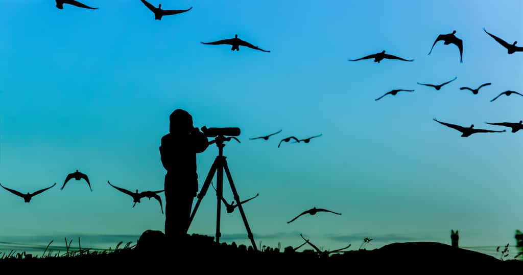 Ornithologue collectant des données sur le terrain. © alvenmod, Adobe Stock