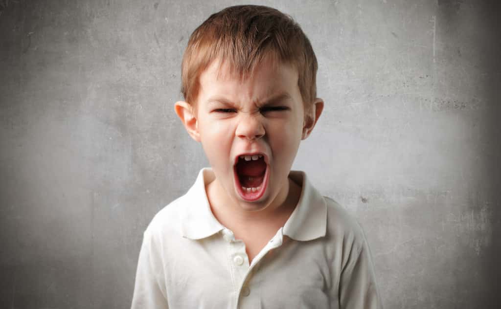 Le cerveau des jeunes enfants n’est pas suffisamment mature pour parvenir à canaliser leur colère. © olly, Fotolia