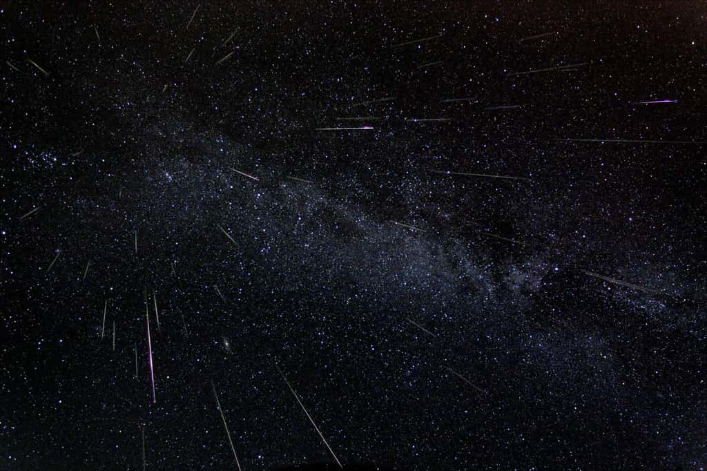 L'astronome Fred Bruenjes photographiait en 2004 près d'une cinquantaine de météores lors des Perséides. © Fred Bruenjes