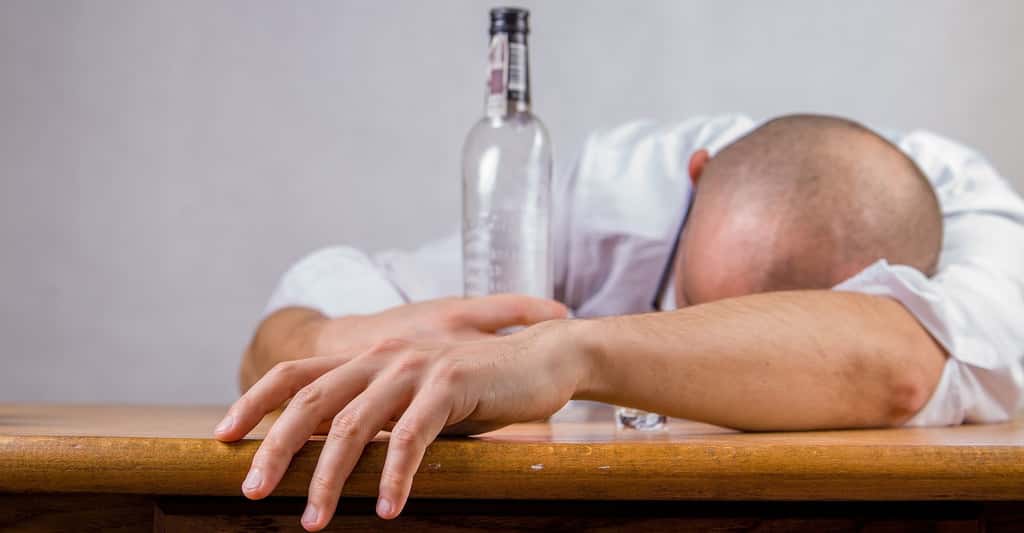 Selon les chercheurs de l’université de Californie à Los Angeles (Ucla, États-Unis), la capacité à décomposer efficacement l’alcool rapidement pourrait aider les gens à protéger leur foie contre les dommages liés à l’alcool. © jarmoluk, Pixabay, CC0 Creative Commmons