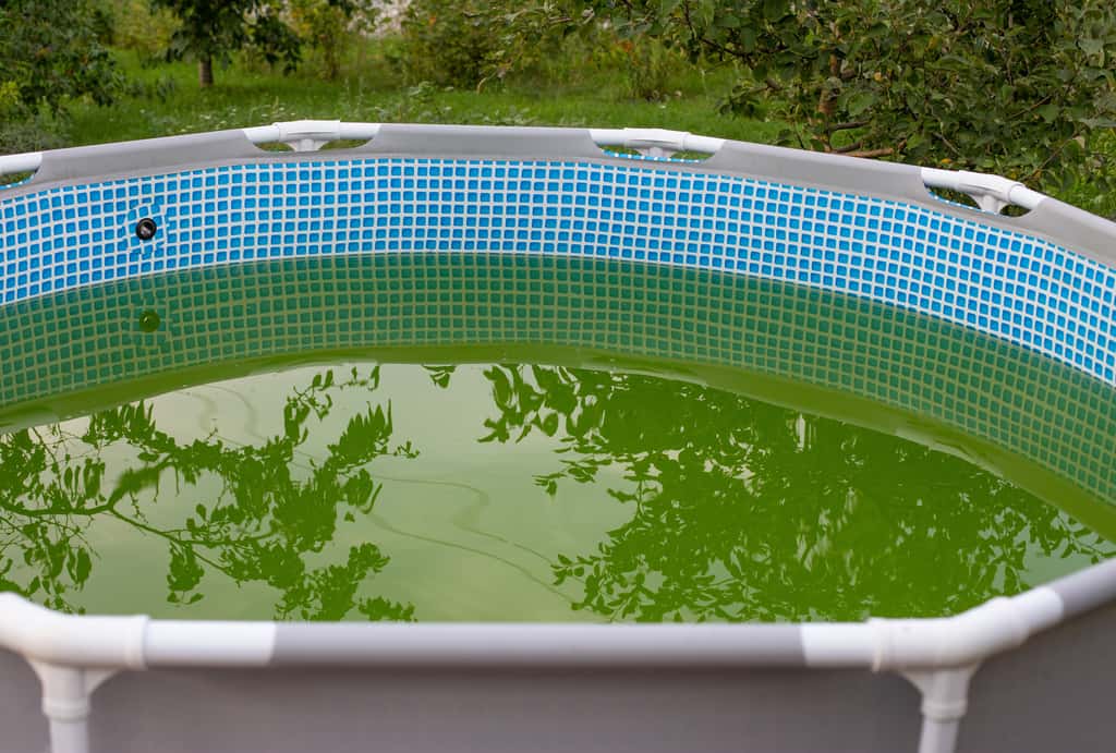 Découvrez les causes et solutions d'une eau de piscine trouble © olyapon, Adobe Stock