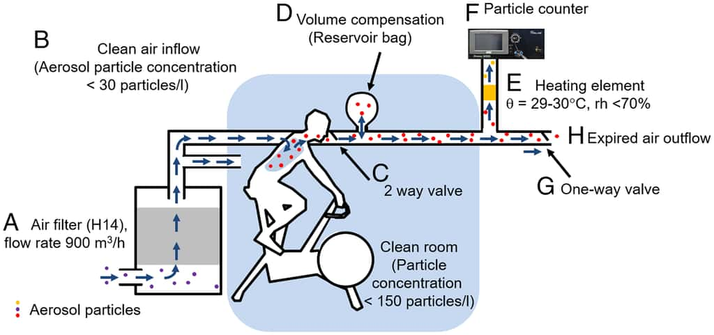 La méthodologie de l'étude permettant de mesurer les différents paramètres à l'étude. © <em>PNAS</em>