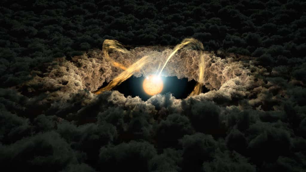 Représentation d'un disque de gaz protoplanétaire d'une étoile, duquel sont formées les planètes. © Nasa, JPL/Caltech