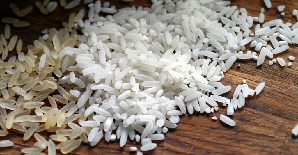 La France devrait commencer à ressentir la pénurie de riz à partir de février/mars 2023. © Sasajo, Adobe Stock