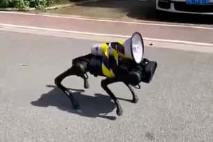 Ce robot chien parcourt les rues de Shanghai pour livrer les consignes sanitaires aux résidents. © DR