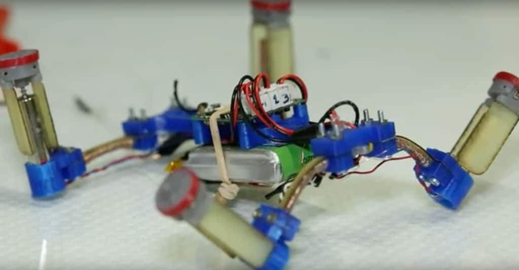 Le fil composite conçu par les chercheurs de l’École polytechnique fédérale de Lausanne pourrait aider à mettre au point des robots capables de changer de forme. Ici, il compose le lien entre le corps et les pattes du robot. © EPFL, YouTube
