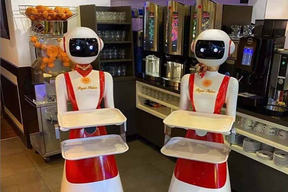 On ne sait pas si les robots acceptent les pourboires. © Royal Palace