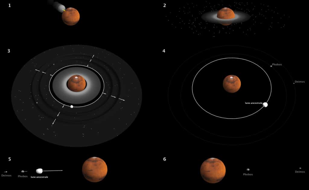 Chronologie des évènements qui auraient donné naissance à Phobos et Deimos. 1. (en haut à gauche) : Mars est percutée par une protoplanète trois fois plus petite. Un disque de débris se forme en quelques heures. 2. Les briques élémentaires de Phobos et Deimos (grains de taille inférieure au micromètre) se condensent directement à partir du gaz dans la partie externe du disque. 3. Le disque de débris produit rapidement une lune proche de Mars, qui s'éloigne et propage ses deux zones d'influence comme des vagues. 4. Ce processus provoque en quelques millénaires l'accrétion des débris plus éloignés en deux petites lunes, Phobos et Deimos. 5. Sous l'effet des marées soulevées par Mars, la grosse lune retombe sur la planète en quelques millions d'années. 6. Les satellites Phobos et Deimos, moins massifs, rejoignent leur position actuelle dans les milliards d'années qui suivent. © Antony Trinh, Observatoire Royal de Belgique