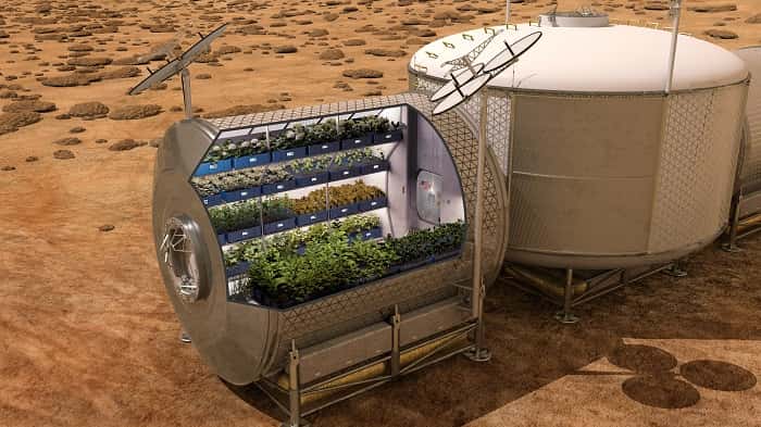 Les astronautes de l’ISS ont fait pousser des salades en micropesanteur, dans le cadre de l’expérience Veg-01. Cette prouesse pourrait profiter aux futures missions habitées vers Mars. Les astronautes seraient en mesure de cultiver dans leur vaisseau spatial pendant le voyage, puis sur la Planète rouge elle-même, sachant que la pesanteur martienne vaut seulement 38 % de la pesanteur terrestre. © Nasa
