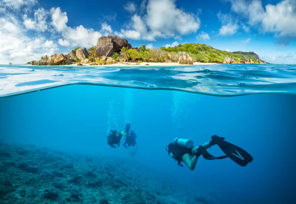 L'archipel des Seychelles est le lieu d'un vaste programme de restauration des récifs coralliens. © Jag_cz, Adobe Stock