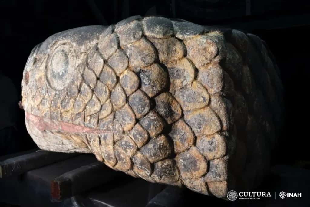 La tête de serpent retrouvée à Mexico, atteignant 1,80 mètre, a été admirablement bien conservée durant cinq siècles. © Inah, Lancic