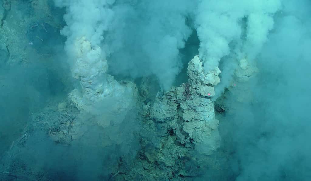 Un exemple des sources hydrothermales découvertes au fond des océans, souvent proches des dorsales océaniques, à des milliers de mètres de profondeur. Des organismes vivent là, dans une eau acide et très chaude, jusqu'à plus de 100 °C. Ces écosystèmes sans lumière fonctionnent grâce à l'énergie de la chimiosynthèse exploitant, par exemple le soufre ou l'hydrogène. La photographie a été prise au fond de l'océan Pacifique, sur l'arc volcanique des Mariannes. © <em>Pacific Ring of Fire 2004 Expedition</em>, <em>NOAA Office of Ocean Exploration</em>, Bob Embley, NOAA PMEL, <em>Chief Scientist</em>