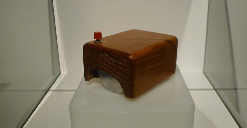 Drôle de souris que celle inventée par Douglas Carl Engelbart. © Asadal, Wikipedia, CC by-sa 4.0