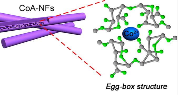 Grâce à des extraits d’algues brunes, des scientifiques ont créé des nanofibres présentant une structure en forme de boite à œufs sur laquelle la figure ci-dessus propose un zoom. © <em>American Chemical Society</em>