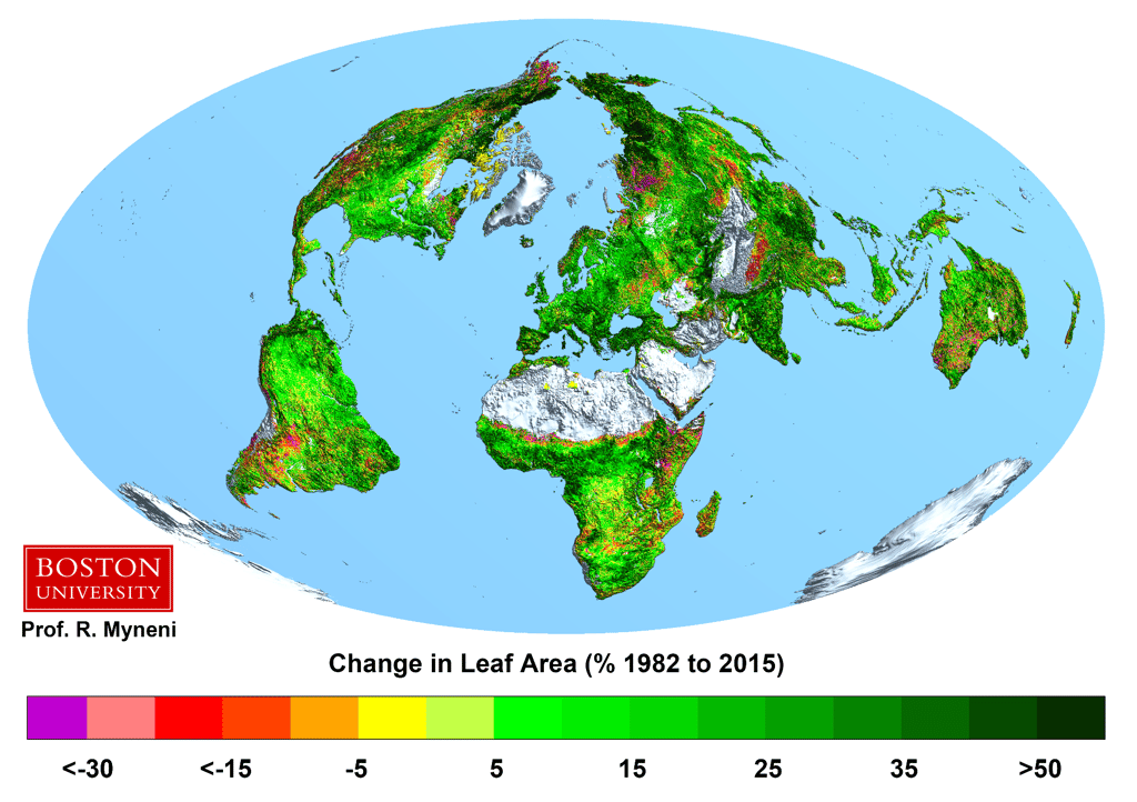 L'augmentation de la couverture végétale pour une surface donnée est montrée sur ce schéma. On voit qu'elle croit presque partout depuis une trentaine d'années. © <em>Boston University</em>